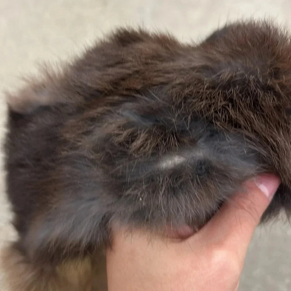 Elegant Brown Fur Women's Hat - Picture 4 of 5